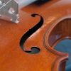 F-hole fluting F-hole fluting