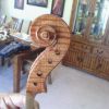 applying colored varnish