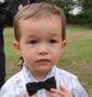 David Hart's Photo