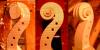 violin 96 scroll.jpg