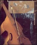 weller williams's Photo