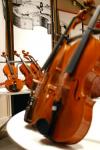 E. Vatelot Competition's Photo