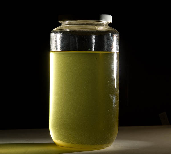 clarifying may 17th 9925.jpg