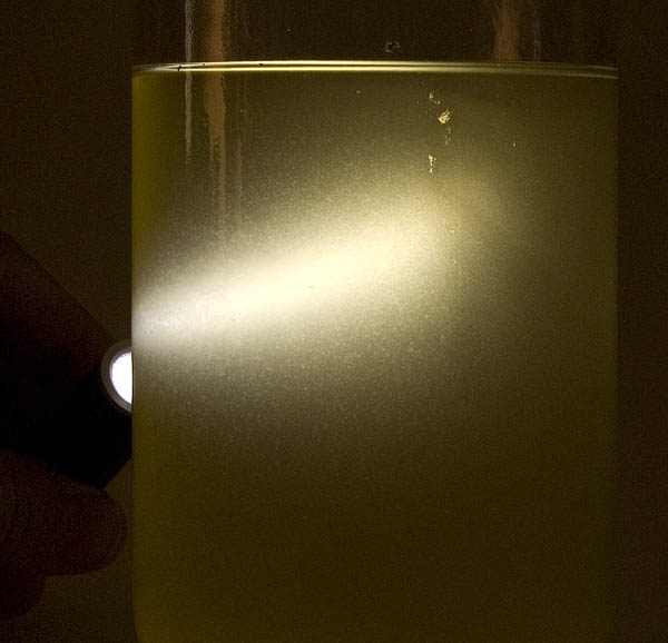 flashlight from the back 9656.jpg