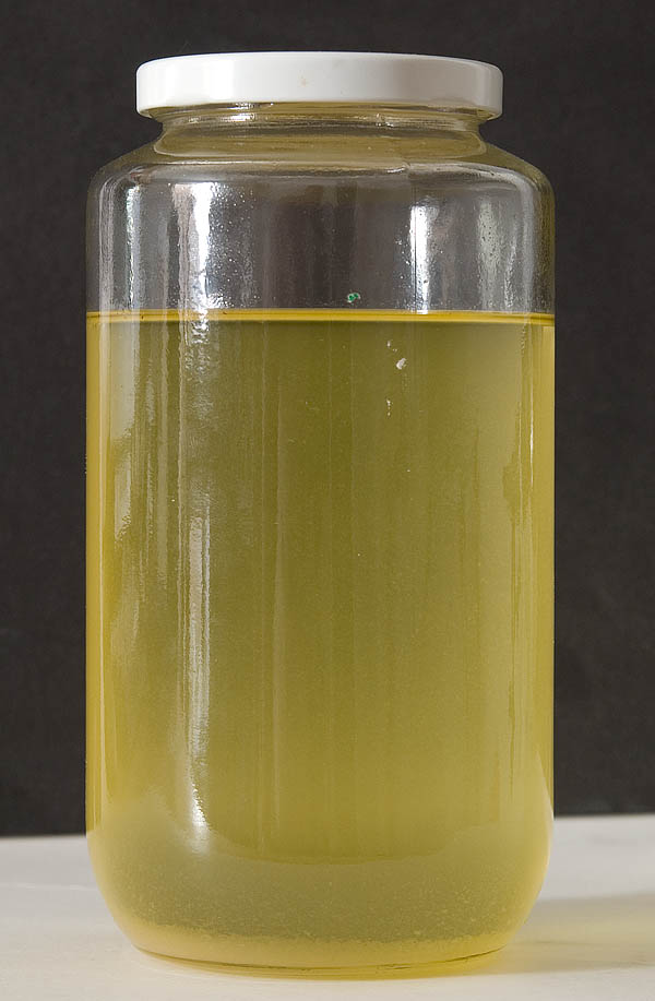 mastic clarifying ambient light 9744.jpg