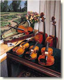 Instruments Picture