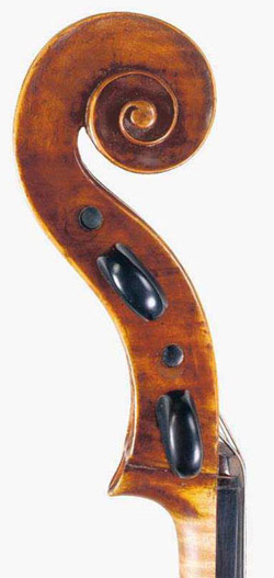 Jacobs cello scroll.jpg (36207 bytes)