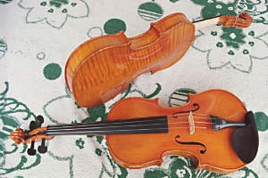 violins.JPG (22311 bytes)